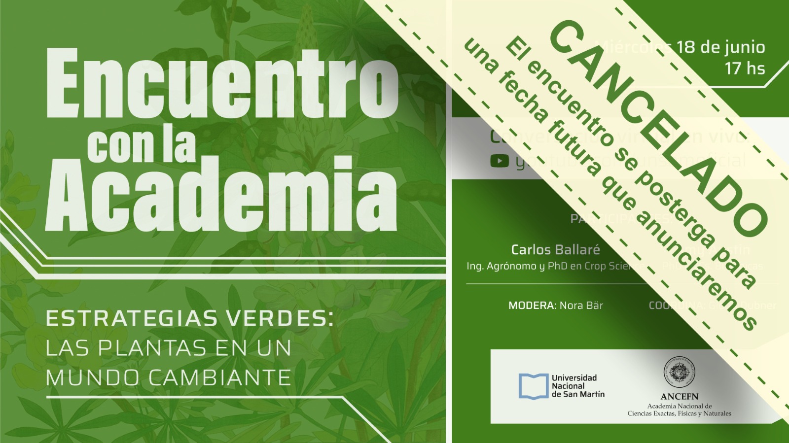 cc junio
